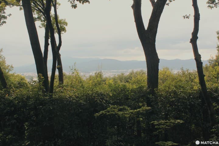 从茂庵眺望京都