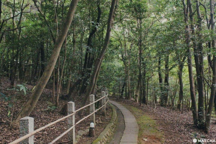 京都茂庵
