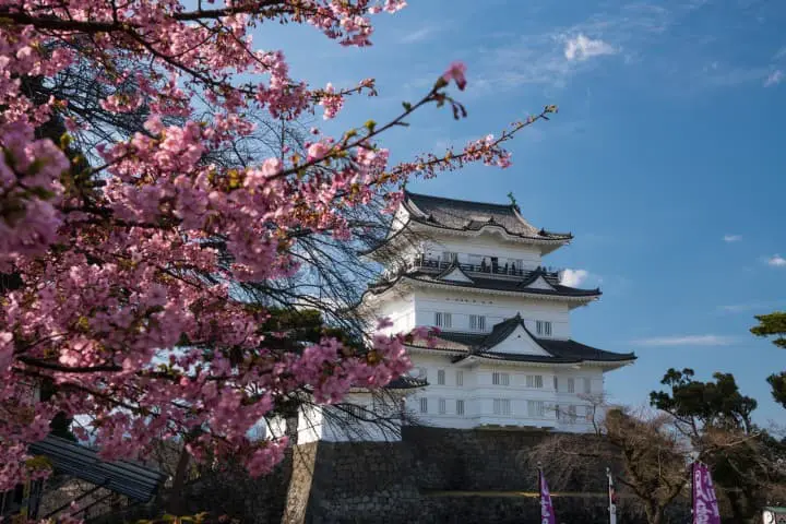 Odawara Castle