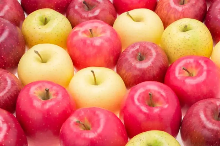 青森苹果