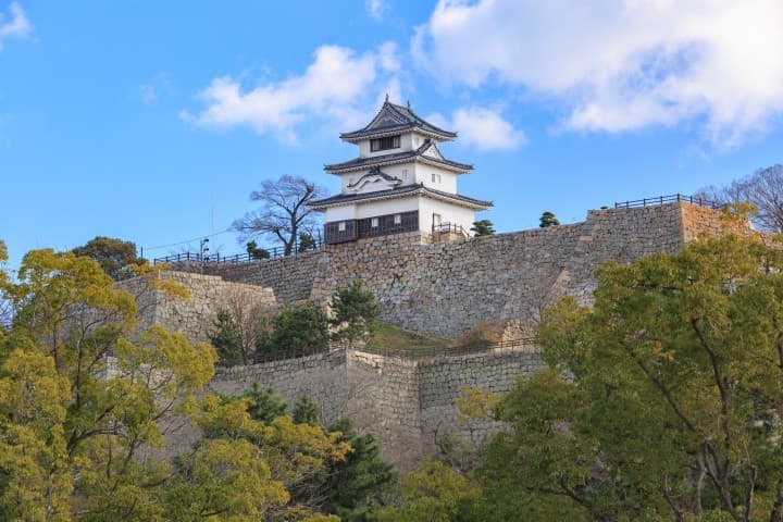 丸龟城