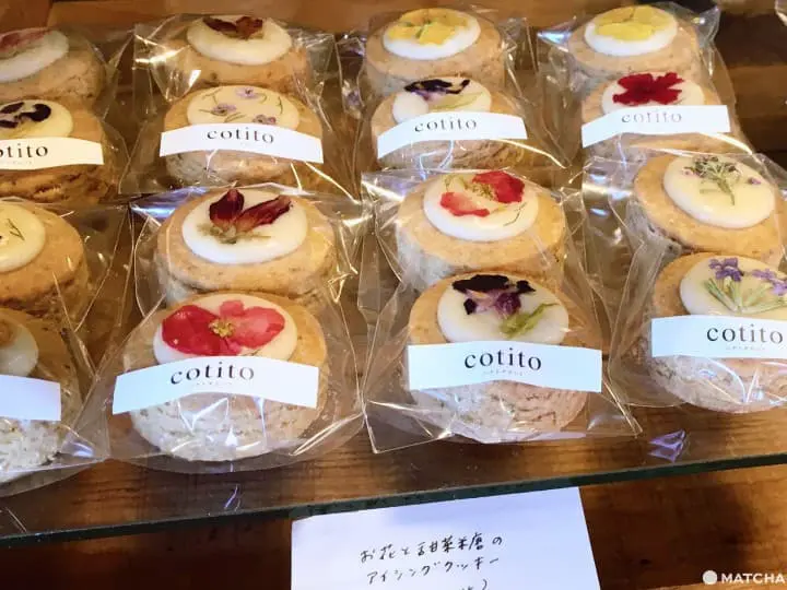 尋找一份特別的日常,西荻窪個性CAFÉ三選