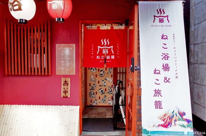 【大阪】療癒度100%!在「貓浴場」與貓咪們的泡湯時光