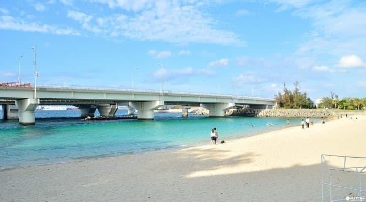 海