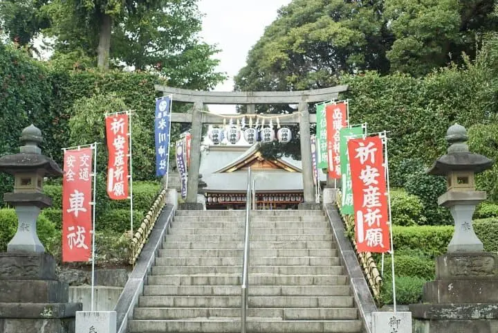 Japan's Seasons In Photos: October - Harvest And Cosmos Flowers