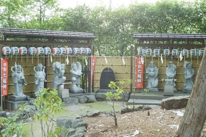 Japan's Seasons In Photos: October - Harvest And Cosmos Flowers