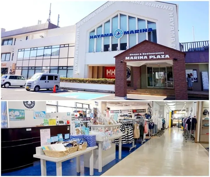 เต็มอิ่มกินเที่ยว ชมวิวทะเลสุดสวยใกล้โตเกียวด้วยฟรีพาส 