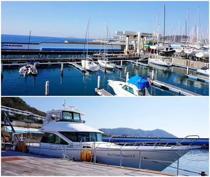 เต็มอิ่มกินเที่ยว ชมวิวทะเลสุดสวยใกล้โตเกียวด้วยฟรีพาส 