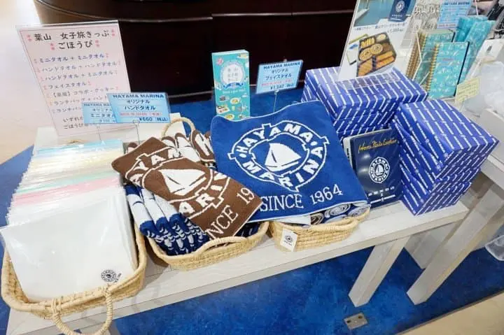 เต็มอิ่มกินเที่ยว ชมวิวทะเลสุดสวยใกล้โตเกียวด้วยฟรีพาส 