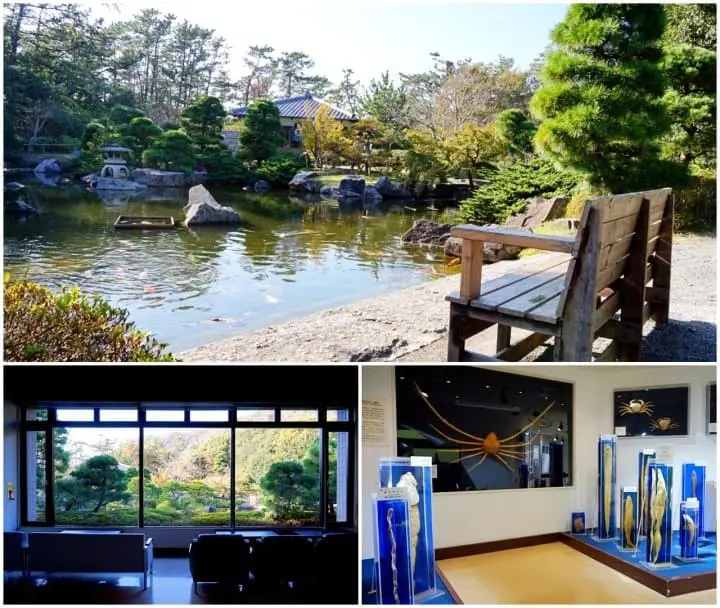 เต็มอิ่มกินเที่ยว ชมวิวทะเลสุดสวยใกล้โตเกียวด้วยฟรีพาส 