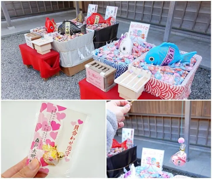 เต็มอิ่มกินเที่ยว ชมวิวทะเลสุดสวยใกล้โตเกียวด้วยฟรีพาส 