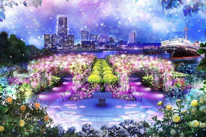 งานประดับไฟครั้งแรก! ทุ่งดอกกุหลาบและแสงที่สวนยามาชิตะในโยโกฮาม่า (Yokohama)