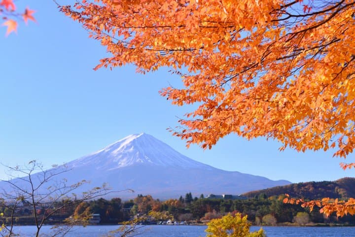 河口湖 富士山 楓