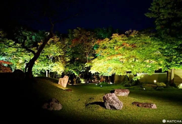 kodaiji temple at night