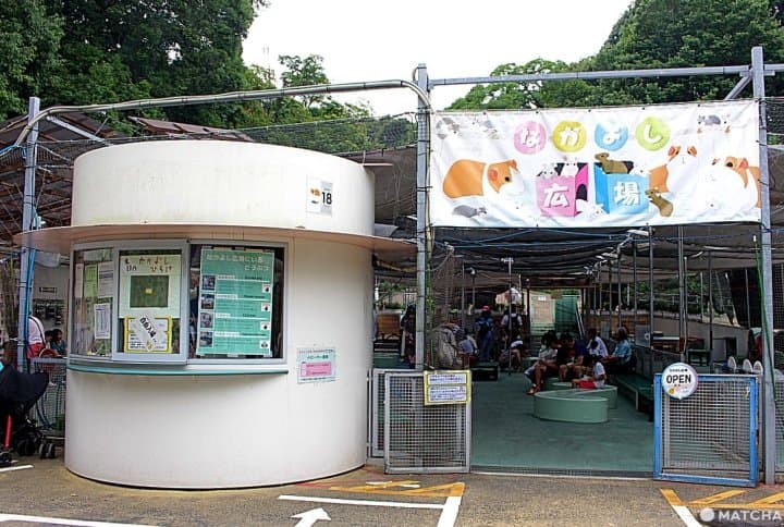 横浜市・野毛山動物園は入場無料家族で楽しめる動物園