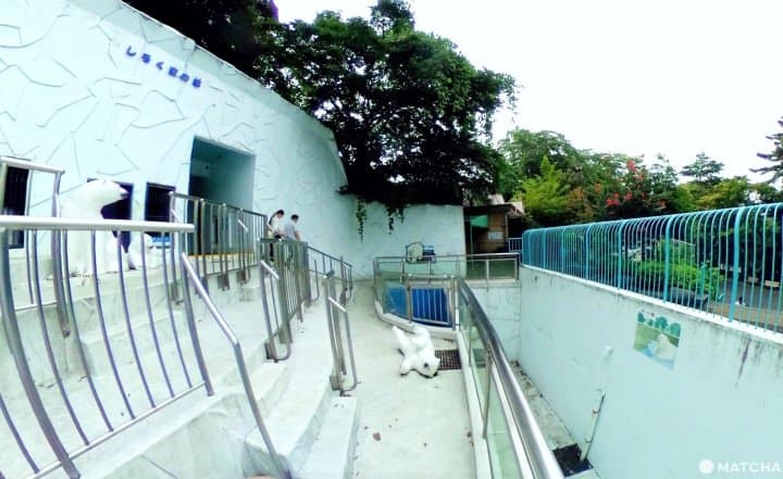 横浜市・野毛山動物園は入場無料家族で楽しめる動物園