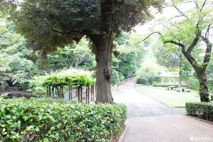 横浜市・野毛山動物園は入場無料家族で楽しめる動物園