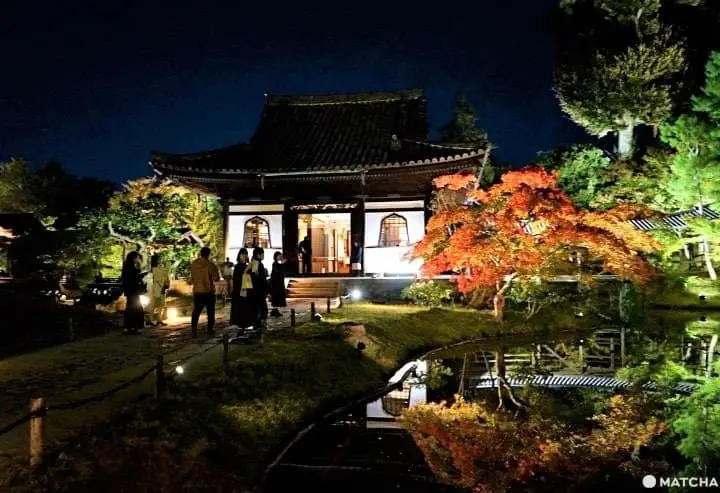 Kodaiji Temple Autumn Light-up