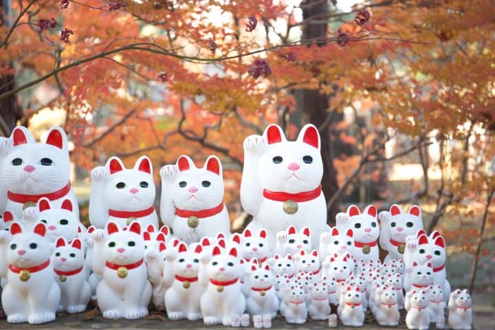 豪德寺 紅葉