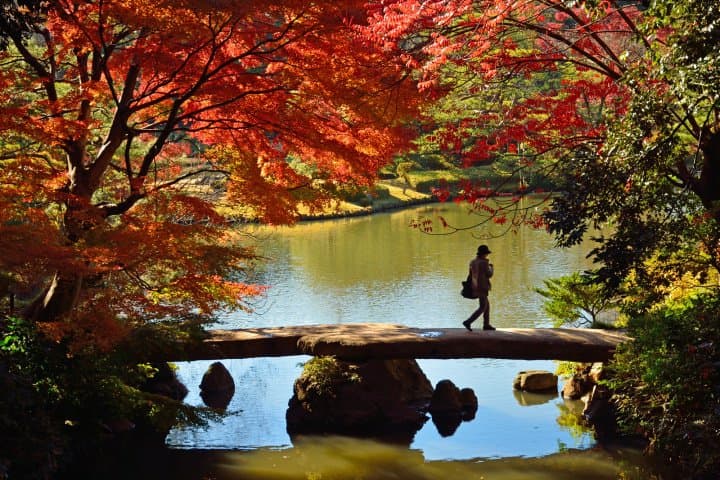 六義園