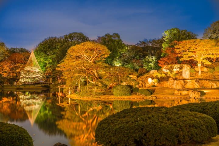 六義園 晚上點燈