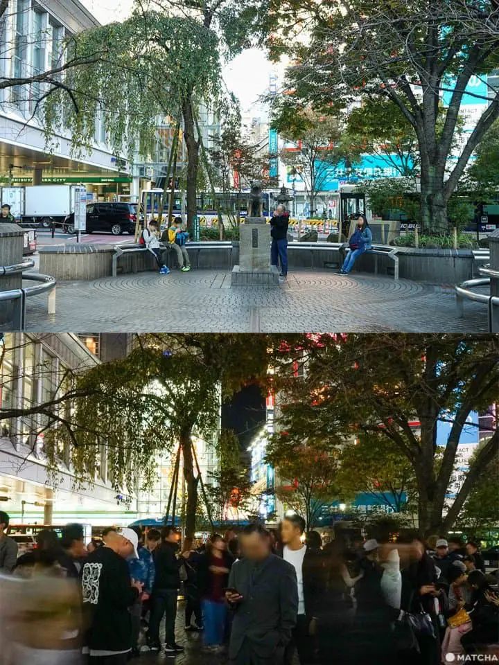 Tokyo Day&Night เมืองที่ไม่เคยหลับใหล