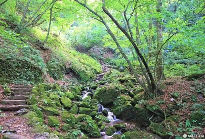 The Rock Garden On Mt. Mitake - Listen To A Mountain Stream In Tokyo