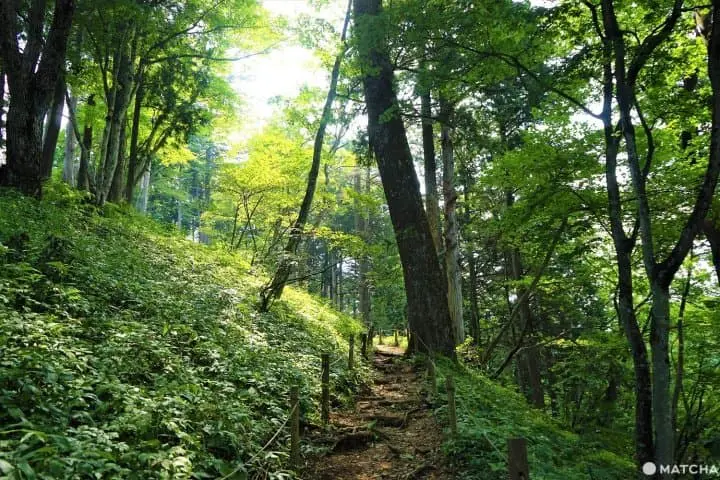 The Rock Garden On Mt. Mitake - Listen To A Mountain Stream In Tokyo