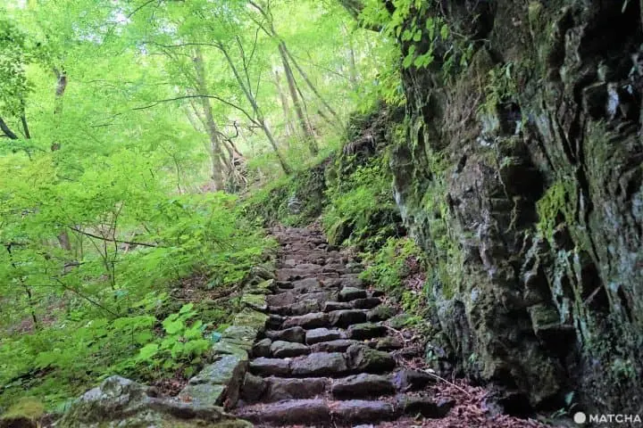 The Rock Garden On Mt. Mitake - Listen To A Mountain Stream In Tokyo