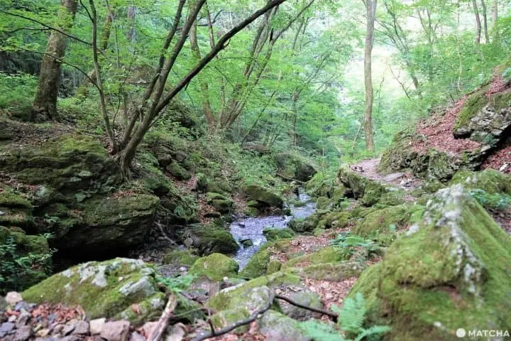 The Rock Garden On Mt. Mitake - Listen To A Mountain Stream In Tokyo