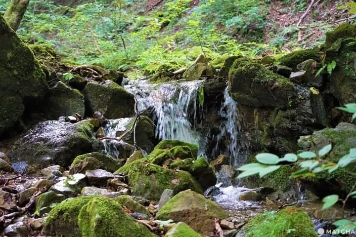 The Rock Garden On Mt. Mitake - Listen To A Mountain Stream In Tokyo