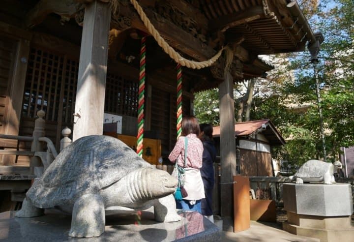 龜岡八幡宮龜