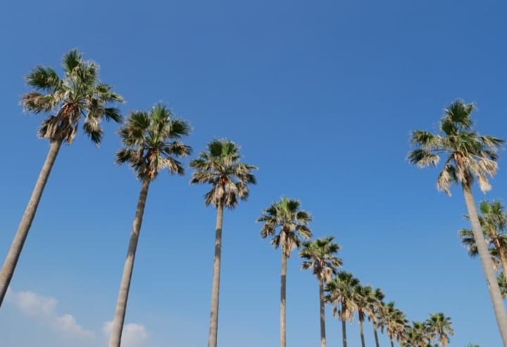 小坪海岸
