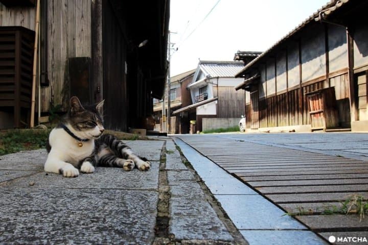 【广岛】ARASHI岚也来拍广告! 300年江户时代风貌——竹原老街保存区