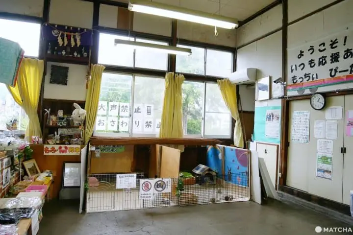 兔子站長宮內站