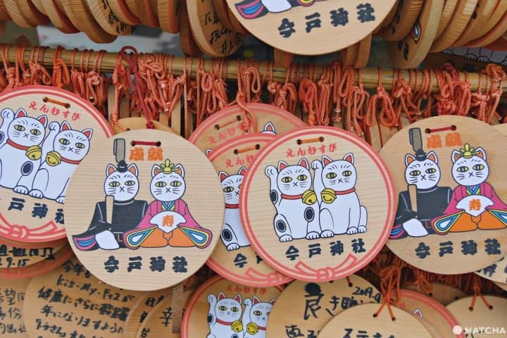 今户神社猫