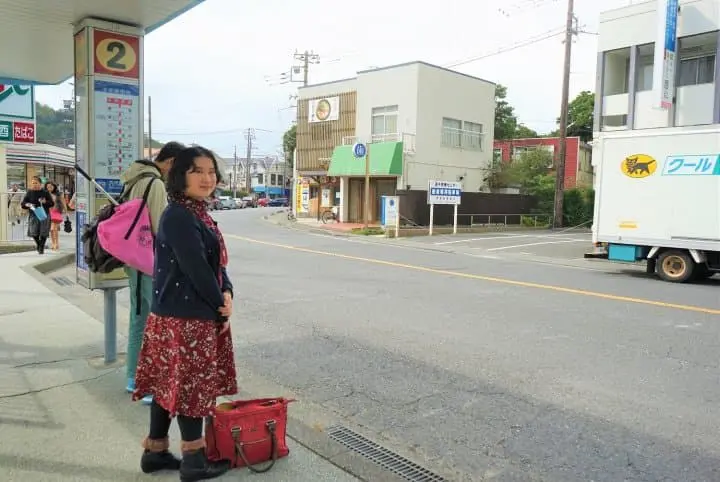 Have Fun By The Seaside! A Day Trip Using The Hayama Excursion Ticket