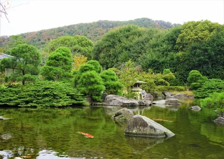 Have Fun By The Seaside! A Day Trip Using The Hayama Excursion Ticket