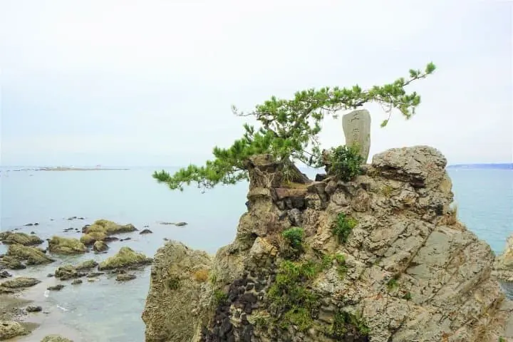 Have Fun By The Seaside! A Day Trip Using The Hayama Excursion Ticket