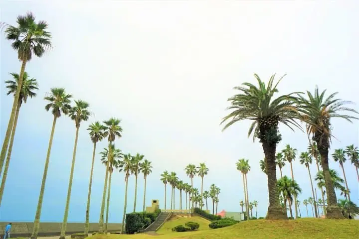 Have Fun By The Seaside! A Day Trip Using The Hayama Excursion Ticket