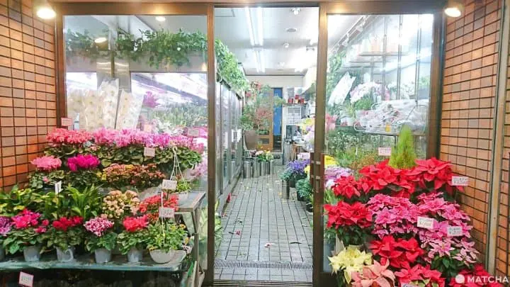 奧淺草花店