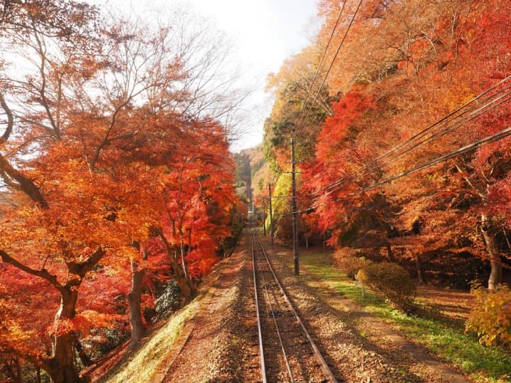 高尾山 纜車