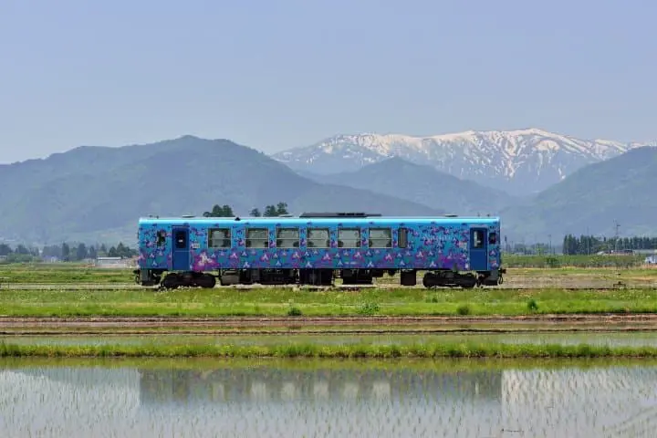 長井線菖蒲列車