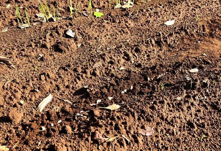 Farm-to-Table Craft Beer And Edo Era Towns - Just North Of Tokyo!