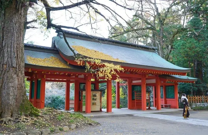 Farm-to-Table Craft Beer And Edo Era Towns - Just North Of Tokyo!