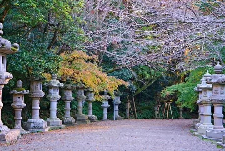 Farm-to-Table Craft Beer And Edo Era Towns - Just North Of Tokyo!