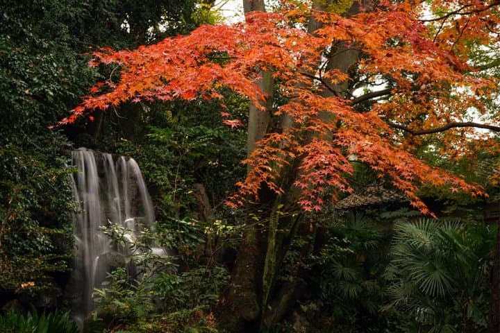 สวนนานุชิโนะทาคิ