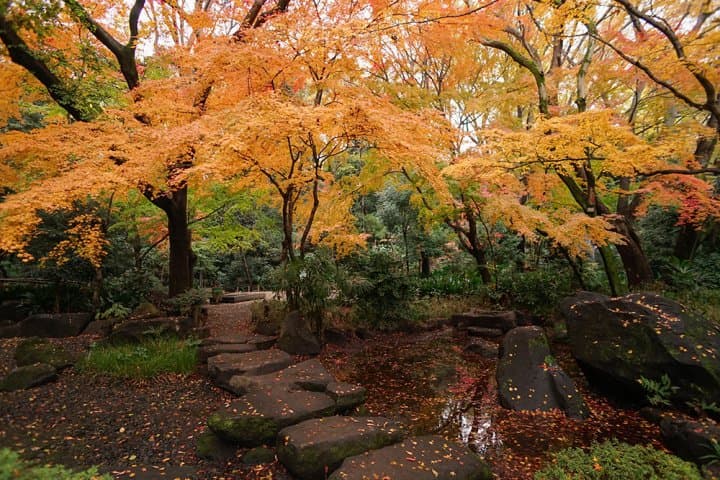 สวนนานุชิโนะทาคิ