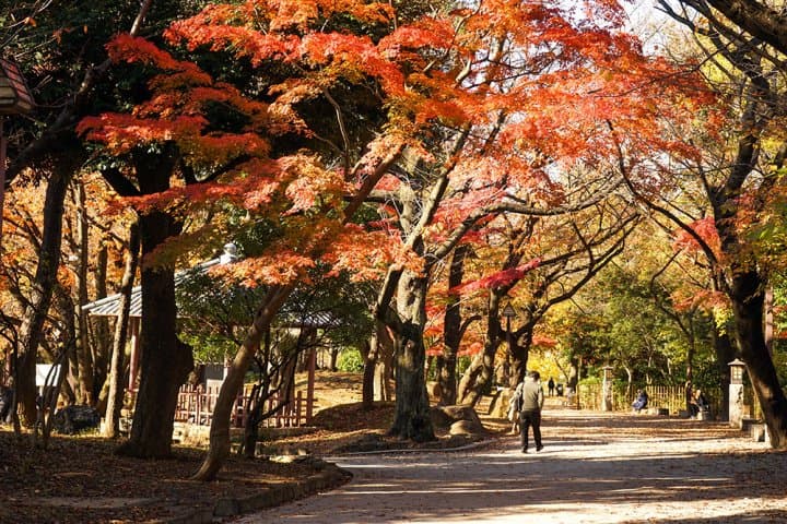 สวนอาซุกะยามะ Asukayama Park