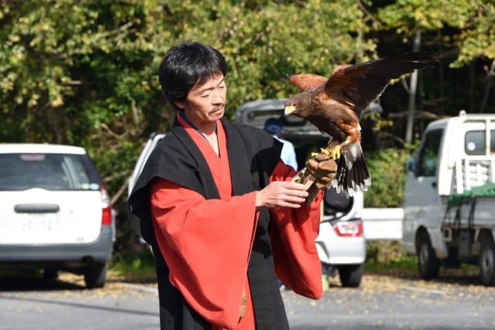 佐倉時代祭鷹匠與老鷹